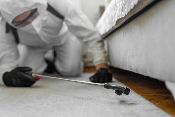 Professional Mosquito Control technician working in Grandyle Village, NY