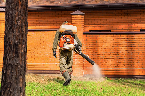 Trusted Emergency Pest Control service in Grandyle Village, NY - Nex Pest Control